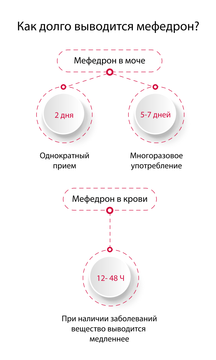 Длительность выведения мефедрона из организма