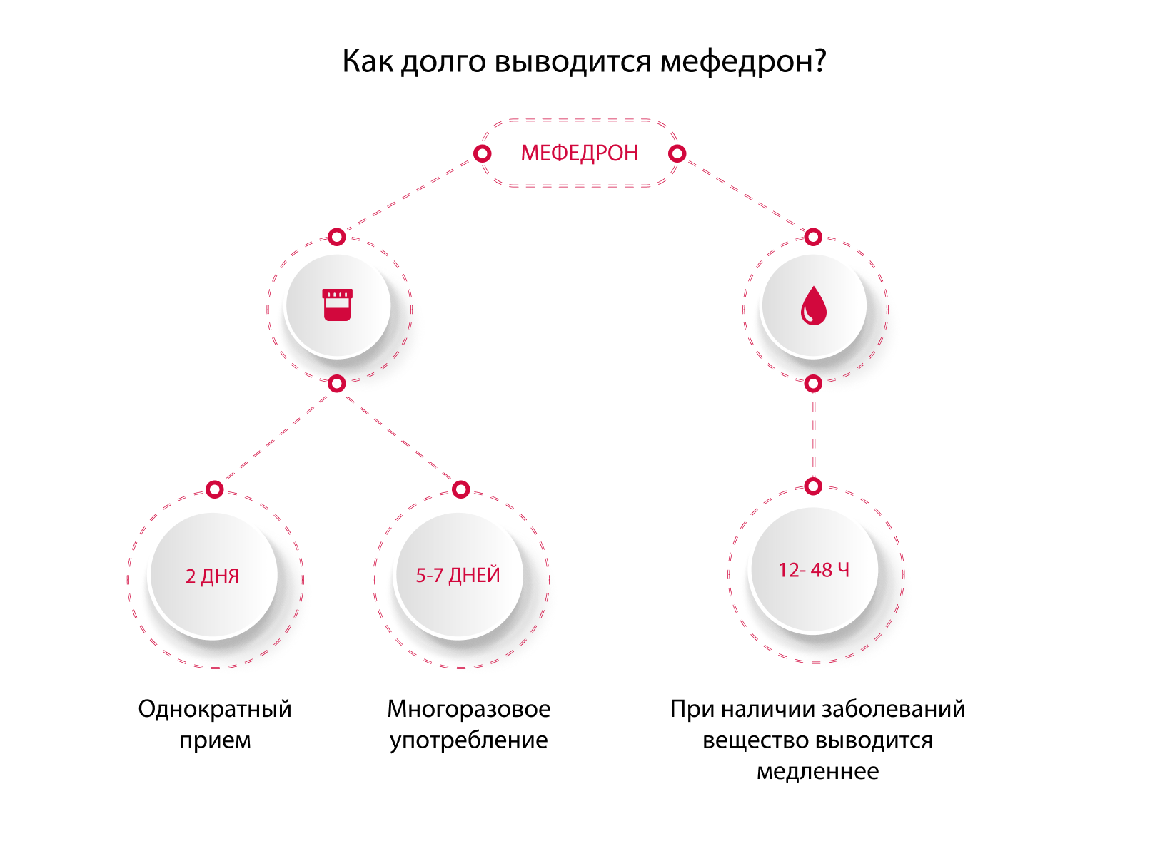 Длительность выведения мефедрона из организма